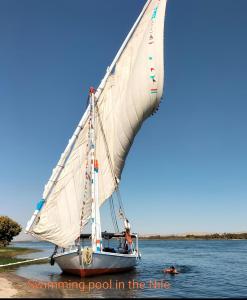 Φυσικό τοπίο κοντά σε αυτό το bed & breakfast +8 φωτογραφίες