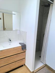 a bathroom with a sink and a shower at Gîtes les Bon' aparte in La Chapelle-sur-Loire