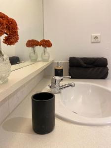 a bathroom sink with a black coffee mug on it at Terracotta, Appartement, Centre historique in Auch