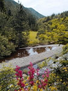 度假屋周边自然景观
