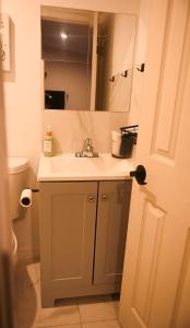 un baño con lavabo y espejo en Small Lakeview Suite Near Disney & Universal, en Kissimmee 40 fotos más