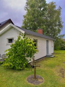 a small tree in front of a white house at Seaside Escape Cozy Cottage 2 Min from the Beach in Halmstad