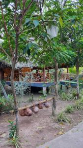 Zahrada ubytování Homestay Nam Hàm Luông