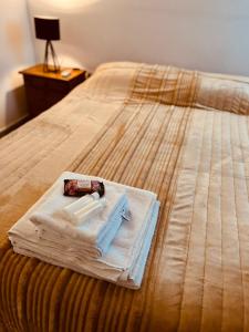 a bed with a tray with towels and a toothbrush at Temporario del Sur in Santiago del Estero
