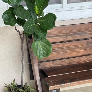 Fotografie z fotogalerie ubytování Casa entera a minutos del mar en Playa Coronado v destinaci Nueva Gorgona