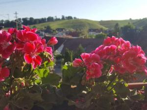 Foto dalla galleria di 1-bedroom holiday apartment a Offenburg