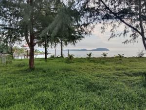 a view of the ocean from a park with trees at Muallim Home in Mersing