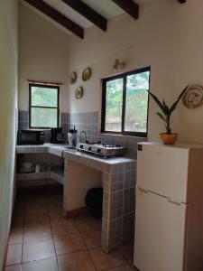 a kitchen with a sink and a refrigerator at Finca Buena Fuente Villas & Pool in Matapalo
