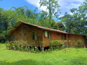 a wooden house in a field of grass at Casa Cucuya in Puerto Quito