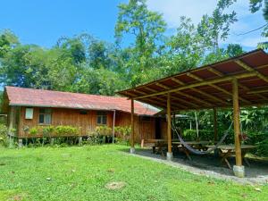 a house with a hammock in front of it at Casa Cucuya in Puerto Quito