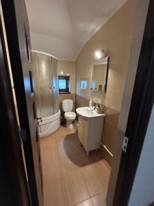a bathroom with a toilet and a sink at Casa Livia in Tuzla +47 photos