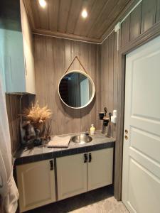 a bathroom with a sink and a mirror at Hytte ved Vråvatnet i Vrådal in Vradal