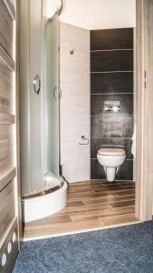 W łazience znajduje się toaleta i przeszklony prysznic. w obiekcie Hostel Azymut we Wrześni