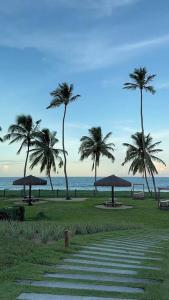 a park with palm trees and umbrellas on the beach at Malawi Resort Essence in Porto De Galinhas