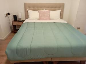 El CerrilloAlojamiento cerca a Metro Moneda的一张带绿色棉被和粉红色枕头的床