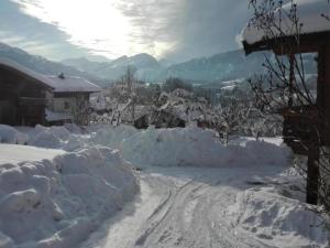 Príroda v okolí apartmánu