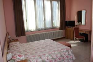 TV a/nebo společenská místnost v ubytování Hotel Vapore