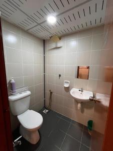 a bathroom with a toilet and a sink at DQuatro Homestay in Kampong Jelatang