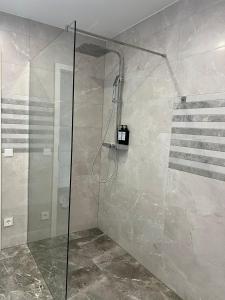 Koupelna v ubytování Luxury Apartments Marz