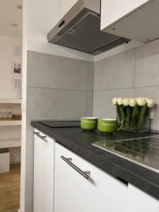 Kuchyňa alebo kuchynka v ubytovaní Modern Mini Loft apartment Roma