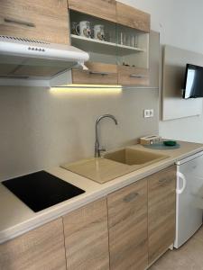 a kitchen with a sink and a counter top at Afroditi Haus Sarti in Sarti +6 photos