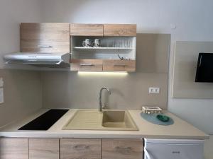 a kitchen with a sink and a counter top at Afroditi Haus Sarti in Sarti