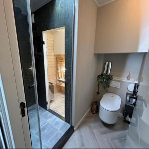 Een badkamer bij Houseboat Reussi