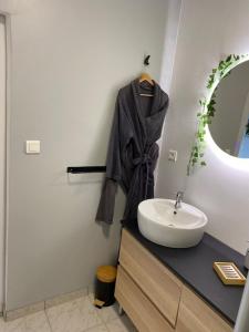 a bathroom with a sink and a mirror at Charmant Logis a la campagne in Ardentes