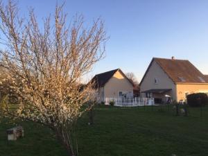 a couple of houses in a field with a tree at Charmant Logis a la campagne in Ardentes