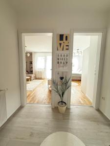 a white living room with a potted plant in theoyer at Cozy Flat near Airport & Sarajevo Center, Free Parking in Sarajevo