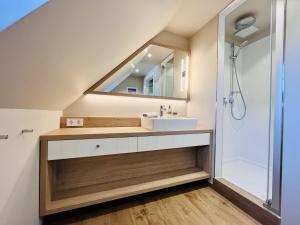 un baño con lavabo y ducha en Ferienhaus "die Müllerei" 11 Feriendorf Klein Stresow Rügen by ruyastay, en Putbus