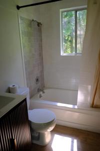 a bathroom with a toilet and a tub and a window at Green Hill at Rainier Lodge (0.4 miles from the entrance) in Ashford +27 photos