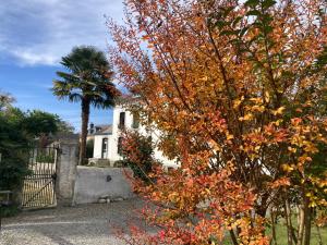 Giardino di Maison MOKASSI