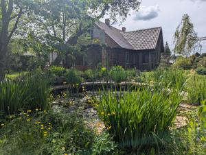 a garden in front of a house at W Starym Sadzie in Białowieża