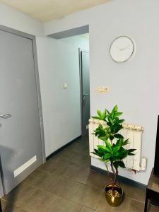 蒙斯B&B Evasion Appartment的墙上挂有时钟的走廊和植物