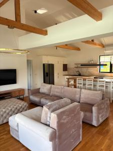 a living room with a couch and a kitchen at Villa EN in Mali Požarevac +22 photos