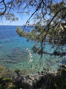 Gallery image of La Croix-Valmer, La ferme, Le Vergeron, entre terre et mer in La Croix-Valmer