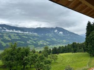 Φυσικό τοπίο κοντά σε αυτό το διαμέρισμα
