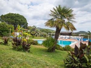a villa with a palm tree and a swimming pool at Agriturismo Guparza in Posada