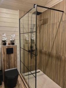 a shower stall with a toilet in a room at Serri Villa in Vardenis