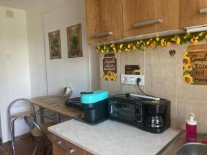 una cocina con encimera y microondas en Napraforgó Vendégház, en Veresegyház