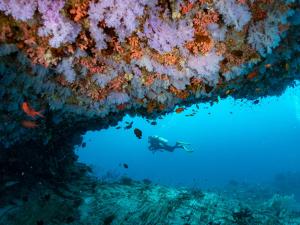 Hosté ubytování Eri Maldives