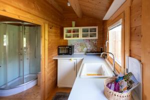 a kitchen with a sink and a shower at Klein aber Fein, ein Tiny-House in Celle