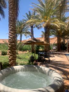拉希迪耶Hotel Kasbah Fenguig的相册照片