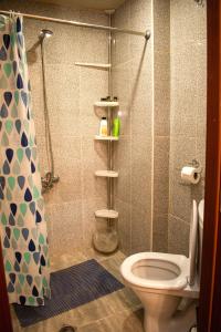 un baño con inodoro y ducha en Apartment In City Center, en Tiflis