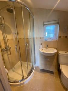 a bathroom with a shower and a sink and a toilet at Frogwell in Strete