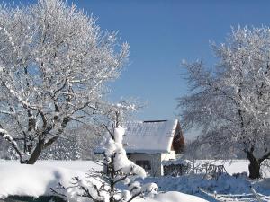 Alluring Holiday Home in Ubersee with Whirlpool v zimě