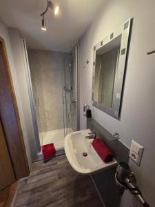 a bathroom with a sink and a shower at Pension ohne Frühstück in Gößweinstein +7 photos