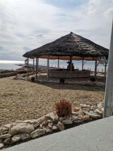 Naturlandskabet i nærheden af lejligheden