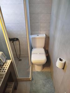 a small bathroom with a toilet and a shower at Thalassopetra Private Room in Kakongiónion +12 photos